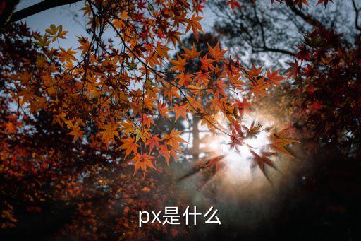 px是什么