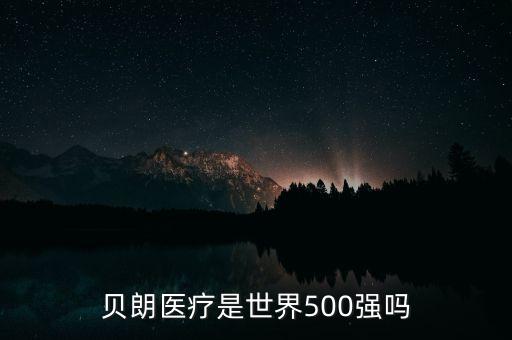 贝朗医疗是世界500强吗