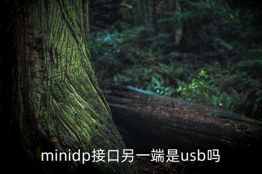 minidp接口另一端是usb吗