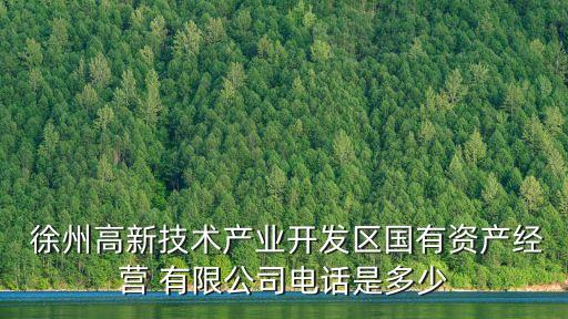  徐州高新技术产业开发区国有资产经营 有限公司电话是多少