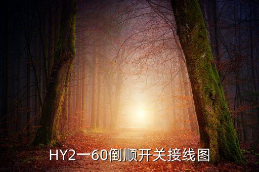 hy2一60倒顺开关接线图