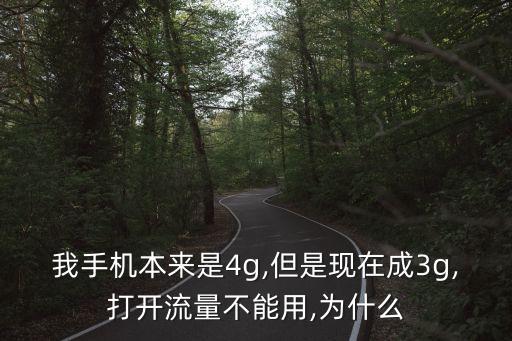 我手机本来是4g,但是现在成3g,打开流量不能用,为什么