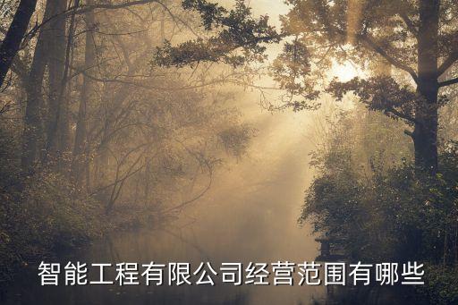  智能工程有限公司经营范围有哪些