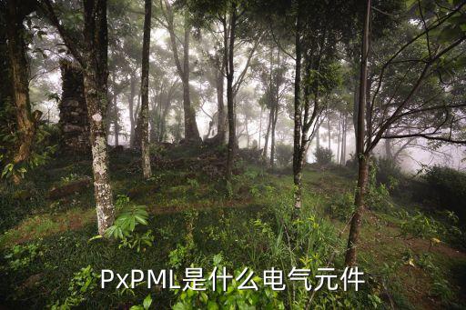 pxpml是什么电气元件