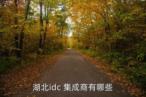 湖北idc 集成商有哪些