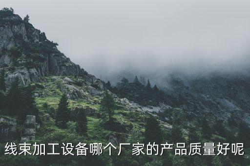 自动化线束公司,线束自动化生产设备厂家选择哪个好?