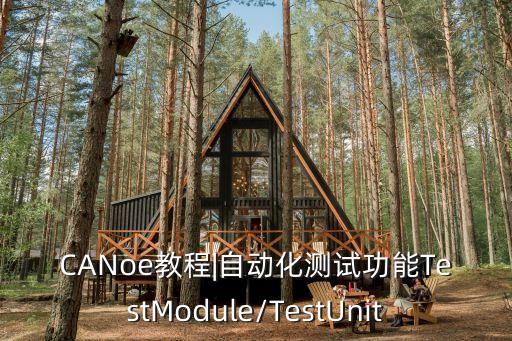 canoe教程|自动化测试功能testmodule/testunit