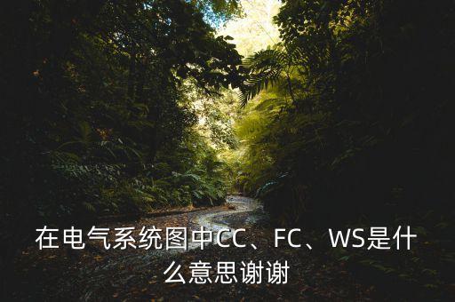 在电气系统图中cc、fc、ws是什么意思谢谢