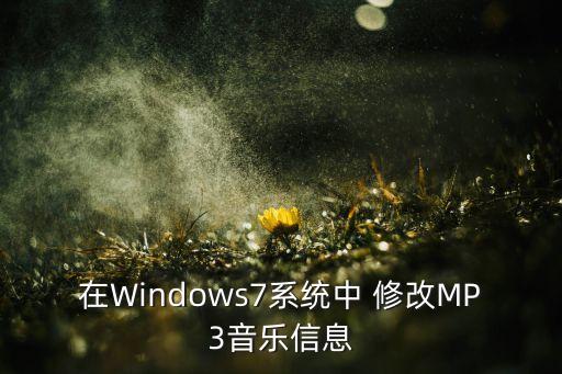 在windows7系统中 修改mp3音乐信息