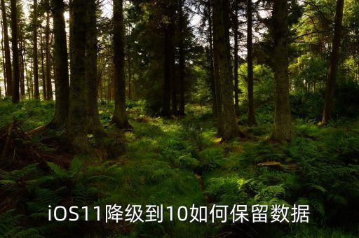 ios11降级到10如何保留数据