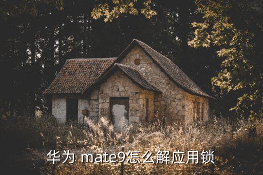 华为 mate9怎么解应用锁