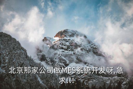 北京那家公司做mes系统开发呀,急求!!!