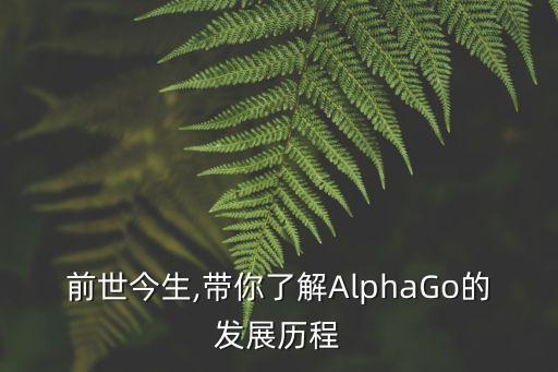 前世今生,带你了解alphago的发展历程