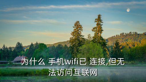 为什么 手机wifi已 连接,但无法访问互联网