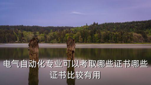 自动化专业报初级职称哪个,自动化专业可考什么证书?