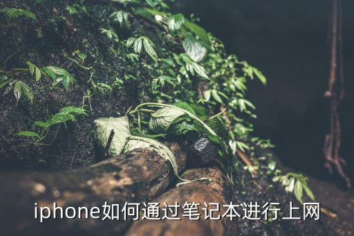 iphone如何通过笔记本进行上网