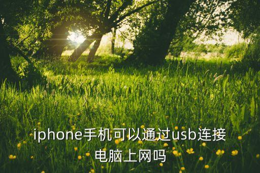 iphone手机可以通过usb连接电脑上网吗