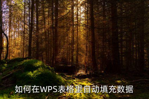 wps表格 执行数据,怎么在wps表格使用数据比对功能?