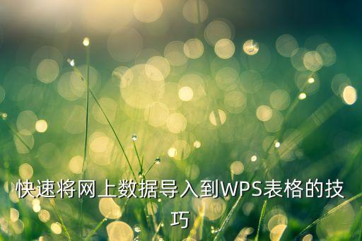 快速将网上数据导入到wps表格的技巧