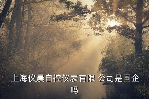  上海仪晨自控仪表有限 公司是国企吗