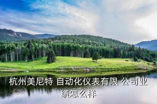 杭州美尼特 自动化仪表有限 公司业绩怎么样