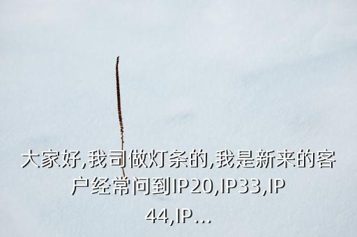 大家好,我司做灯条的,我是新来的客户经常问到ip20,ip33,ip44,ip...