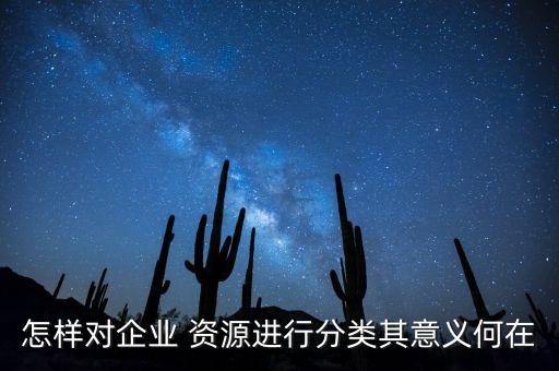 怎样对企业 资源进行分类其意义何在