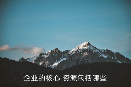 企业的核心 资源包括哪些