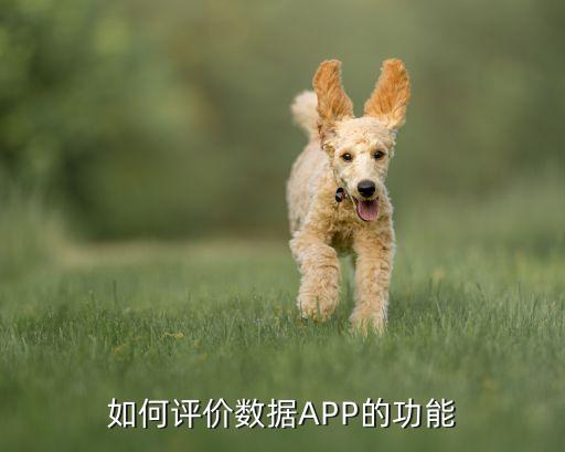 如何评价数据app的功能