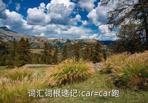 词汇词根速记:car=car跑