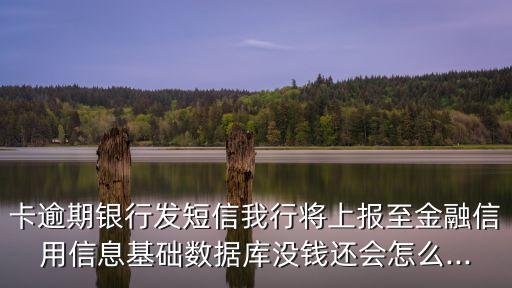 卡逾期银行发短信我行将上报至金融信用信息基础数据库没钱还会怎么...