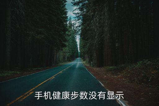 手机健康步数没有显示