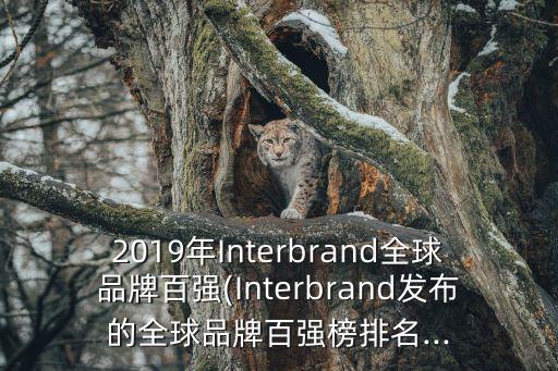 2019年interbrand全球品牌百强(interbrand发布的全球品牌百强榜排名...