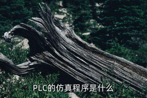 plc的仿真程序是什么