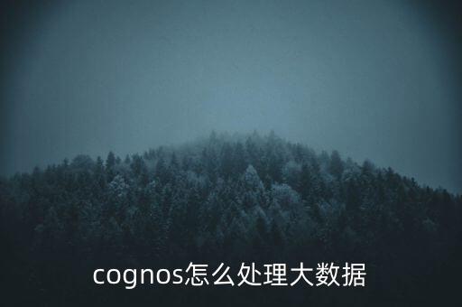 cognos怎么处理大数据