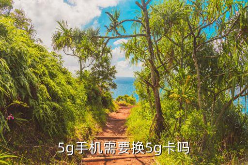 5g手机需要换5g卡吗