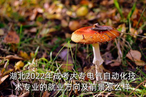 湖北2022年成考大专电气自动化技术专业的就业方向及前景怎么样