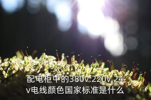 配电柜中的380v.220v.24v电线颜色国家标准是什么