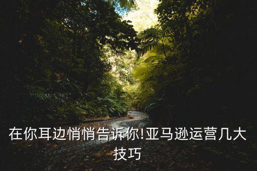 亚马逊电商销售数据,跨境电商怎么做?