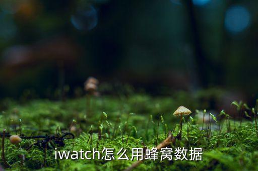 iwatch怎么用蜂窝数据