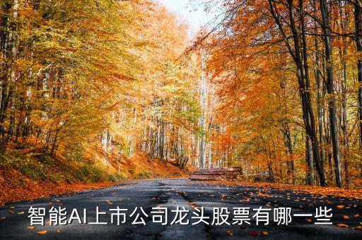 智能ai上市公司龙头股票有哪一些