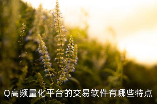 q高频量化平台的交易软件有哪些特点