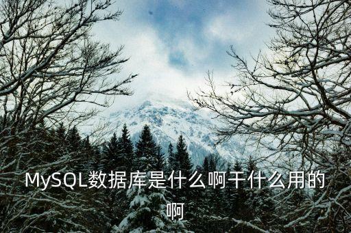 mysql数据库是什么啊干什么用的啊