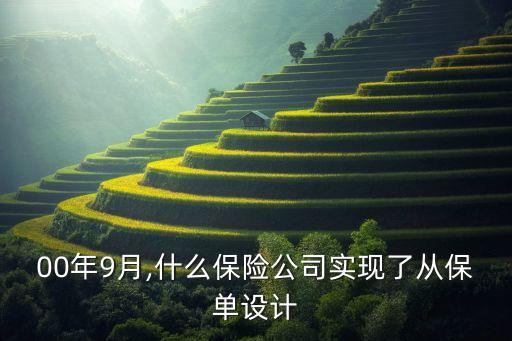 保险公司自动化系统,关于保险公司数字化的思考