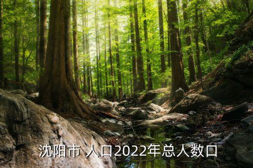  沈阳市 人口2022年总人数口