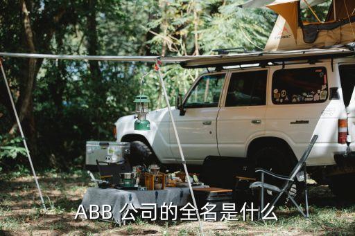 abb 公司的全名是什么