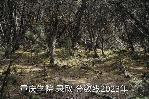 重庆学院 录取 分数线2023年