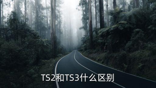 ts2和ts3什么区别