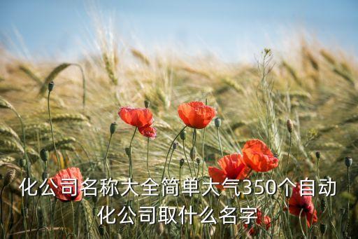 化公司名称大全简单大气350个自动化公司取什么名字