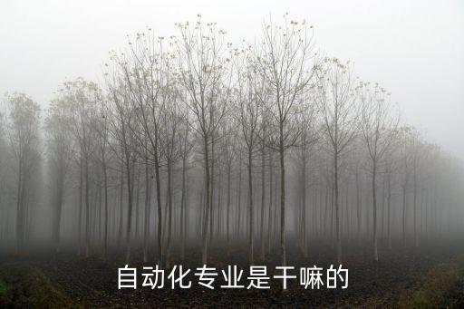 电气自动化专业课程核心,专科电气自动化专业课